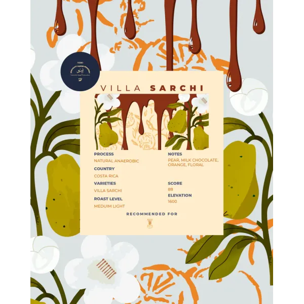 Costa Rica Villa Sarchi